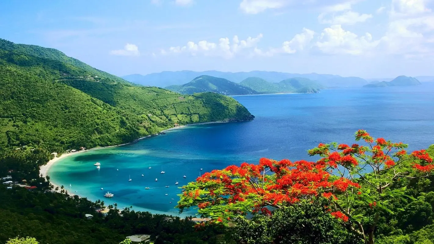全自动高精度高性能